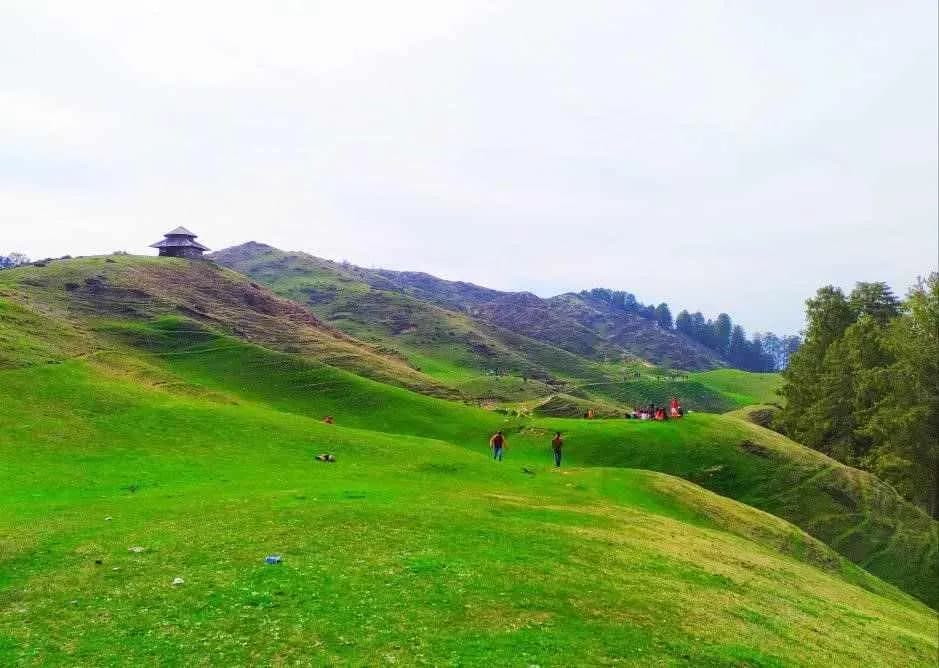 Chakrata — Where Nature Keeps Its Secrets!, photo 2