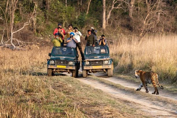 Jim Corbett: Into the Wild, Beyond the Ordinary! — Jim Corbett