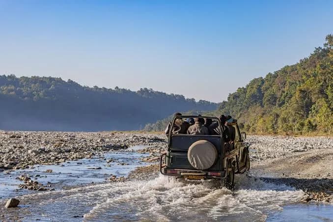 Jim Corbett: Into the Wild, Beyond the Ordinary!, photo 2