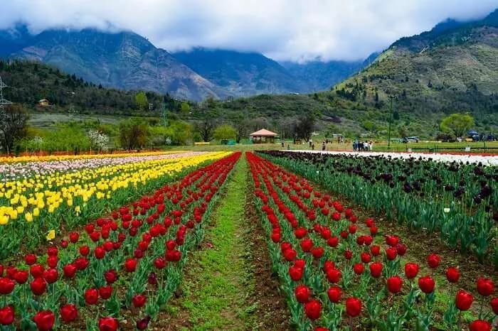 Kashmir Paradise Expedition: Heaven on Earth, Tales for a Lifetime!, photo 3