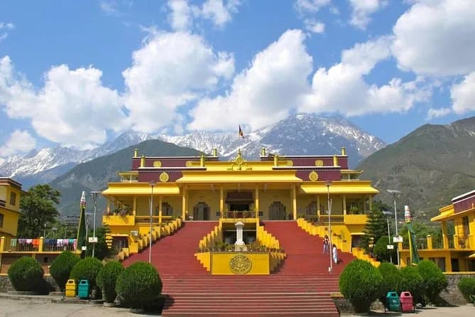 McLeod Ganj–Triund – Where Mountains Meet the Clouds!, photo 2