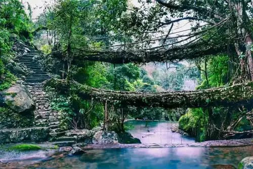 Meghalaya – Where Clouds Kiss the Earth!, photo 2