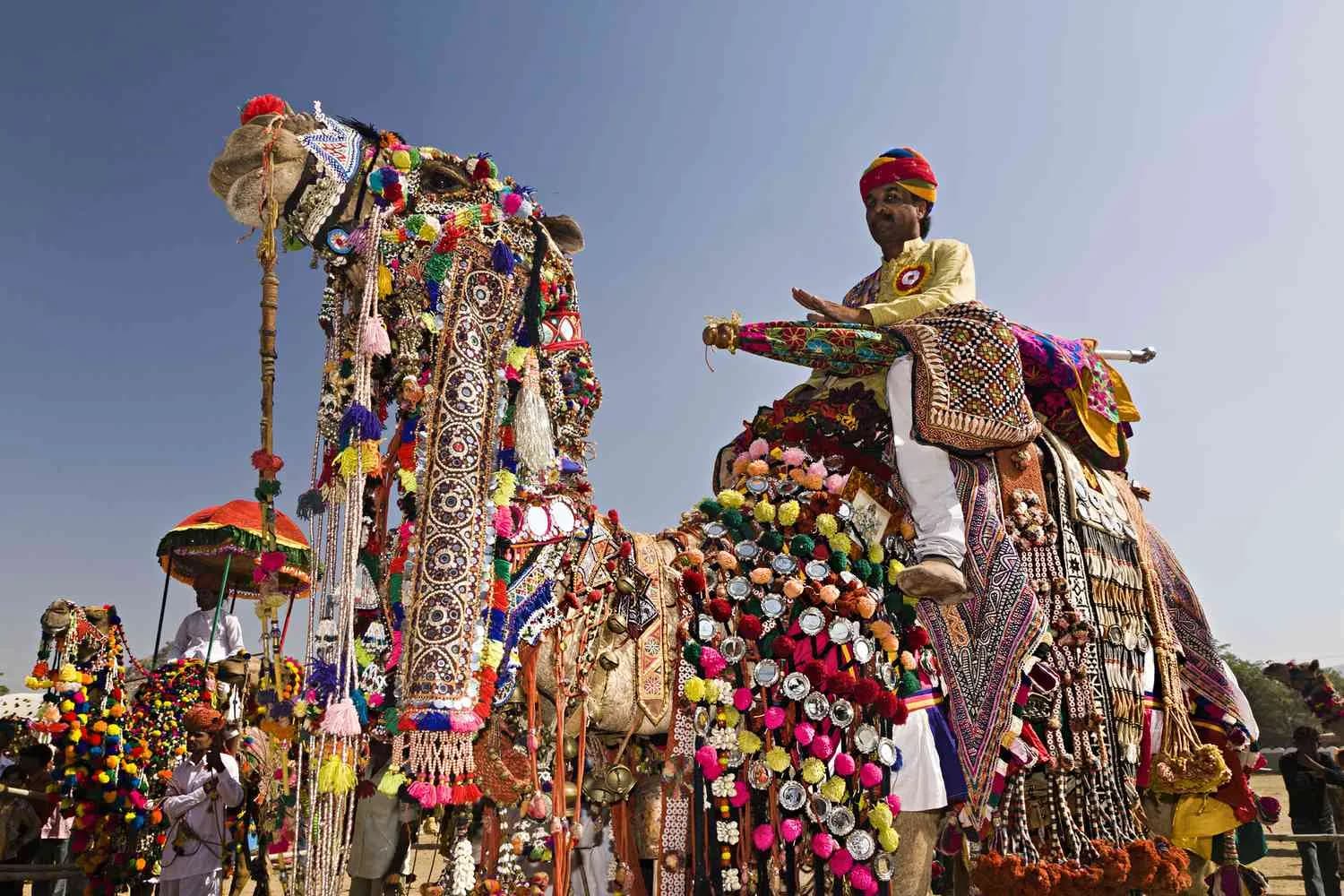 Pushkar Holi – Where Colors, Culture & Madness Collide!, photo 2