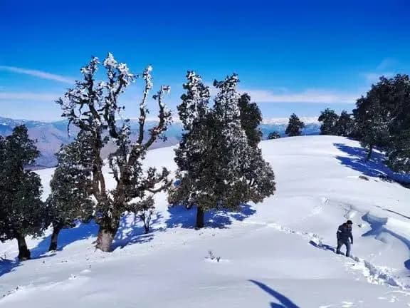 Nag Tibba Trek – Chase the Summit, Embrace the Mountains!, photo 2